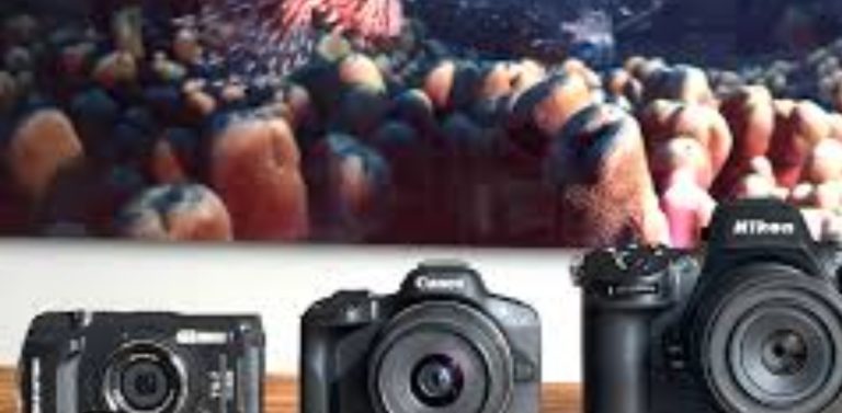 Best Cameras for Underwater Photography